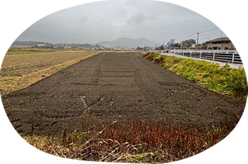 写真:耕作放棄地