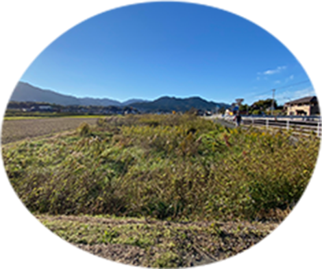 写真：綺麗に耕された土地