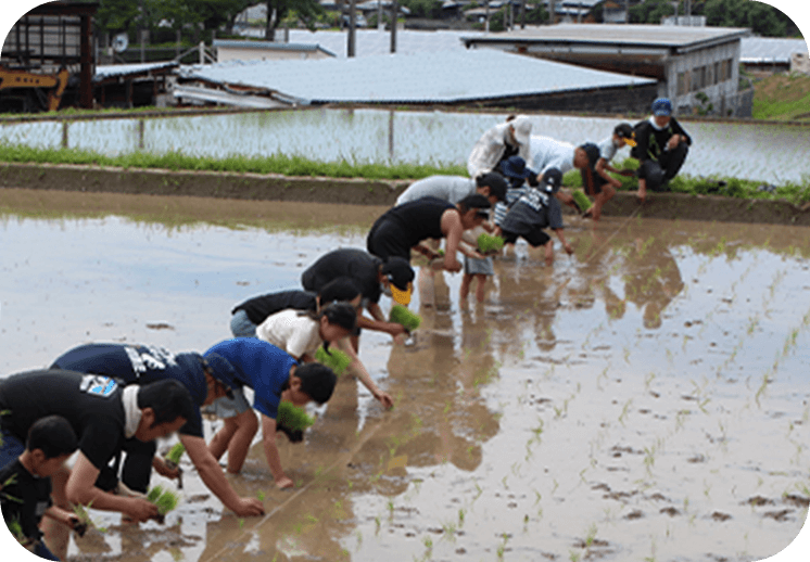 写真：田植え体験